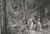 The Town Belt, Dunedin. Dunedin. New Zealand 1890 old antique print picture