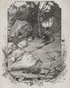 A Bush Track, Murrurundi. The Hunter Valley. Australia 1890 old antique print