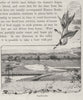 Maitland. The Hunter Valley. Australia 1890 old antique vintage print picture