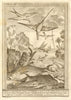 'Chasse de poissons volans'. Birds hunting flying fish South Africa. SCHLEY 1747
