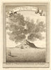 Cape Verde islands. Isle of St. Philippe or Fogo with its volcano. SCHLEY 1747
