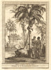 Négres grimpans sur les arbres. Guinea-Bissau negroes climbing trees SCHLEY 1747