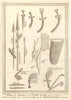 Armes des Négres de la Côte d’Or. Ghana. Gold Coast weapons. Barbot. SCHLEY 1748