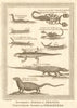 West Africa. Serpents snakes reptiles worms scorpions iguanas. SCHLEY 1748