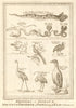 'Reptiles & Oiseaux'. Africa. Reptiles & Birds. SCHLEY 1748 old antique print