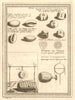 Thailand Siam. Cowrie shells used as money. Tical. Drums. SCHLEY 1755 print