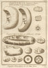Coins. China & Kingdom of Tonkin, Burma. Japanese silver ingots. SCHLEY 1755