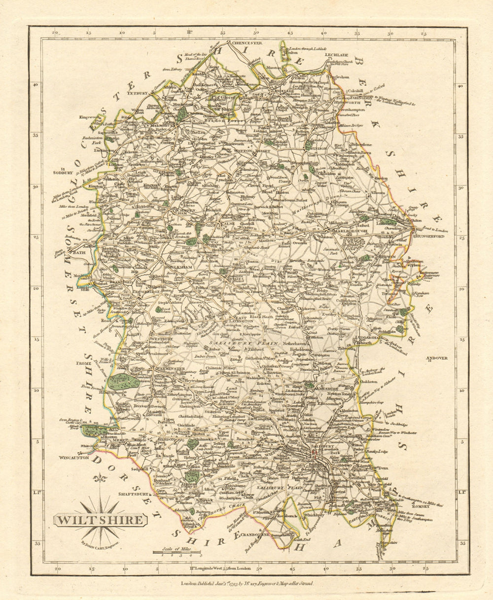 Antique county map of WILTSHIRE by JOHN CARY. Original outline colour 1793