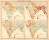 BRITISH INDIA Food-grains Agriculture produce Wheat Rice Sorghum Millet 1909 map