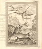 Frigate Tropicbird Flying fish Albacore Bonito Dorado Tuna Waterspout 1746
