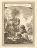 'Lion d’Afrique, Chameau du Cap-Verd'. African Lion. Camel of Senegal 1747