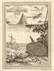 West Africa. Hammerhead shark. Gambian insects. Ocean Sunfish. Goosefish 1747
