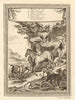 South African animals. Cape Sheep Zebra Ass Goat Leopard Musk cat Civet 1748