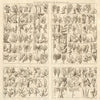 'Plantes et Fruits de Madagascar'. Malagasy fruits and plants 1750 old print