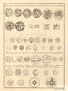 Coins of a King and two Rajas, all tributaries of the Great Mogul/Mughal 1752