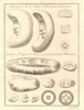 Coins. China & Kingdom of Tonkin, Burma. Japanese silver ingots 1752 old print