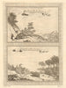 'Zak Rot' Linnaeus's mouse opossum. Duck-foot Toad 1757 old antique print