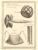 'Atours dont les Indiens se parent dans leurs danses' Native American dress 1757