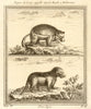 Quick Hatch or Wolverene. Porc-Epic. Quickhatch wolverine Porcupine 1759 print