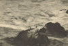 CHILE. Mejillones. Los pelicanos. Pelicans 1932 old vintage print picture