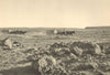 CHILE. Oficina Chacabuco. Transporte del caliche en carretas 1932 old print