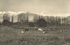 CHILE. Los Andes. Potreros de los alrededores. Cordillera con el Aconcagua 1932