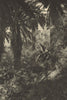 CHILE. Ocoa. Rincon de la selva. Corner of the jungle 1932 old vintage print