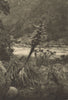CHILE. Valle del Rio Lontue. Valley of the Lontue river 1932 old vintage print