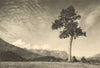 CHILE. Atacalco. Valley of / Valle del Rio Diguillin 1932 old vintage print