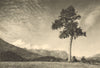 CHILE. Atacalco. Valley of / Valle del Rio Diguillin 1932 old vintage print