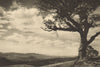 CHILE. Campod de Angol 1932 old vintage print picture