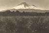 CHILE. Volcan Llaima visto desde Cherquenco. Volcano 1932 old vintage print