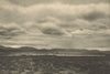CHILEAN PATAGONIA. Estancia os Leones (Aysen). Manada de ovejas. Sheep 1932