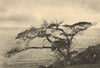 CHILEAN PATAGONIA. Estrecho Magallanes. Este Cabo Froward. Magellan Strait 1932