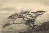 CHILEAN PATAGONIA. Estrecho Magallanes. Este Cabo Froward. Magellan Strait 1932