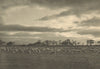 CHILEAN PATAGONIA. Rio Seco (Magallanes). Ovejas. Patagonia. Sheep 1932 print