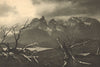 CHILEAN PATAGONIA. Cordillera Torres del Paine. Lake / Lago Nordenskjöld 1932
