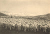CHILEAN PATAGONIA. Estancia Laguna Azul. Ovejas ante el baño. Sheep 1932 print