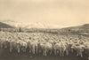 CHILEAN PATAGONIA. Estancia Laguna Azul. Ovejas ante el baño. Sheep 1932 print