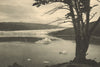 CHILEAN PATAGONIA. Lake / Lago Grey. Ventisquero Barros Arana. Glacier 1932