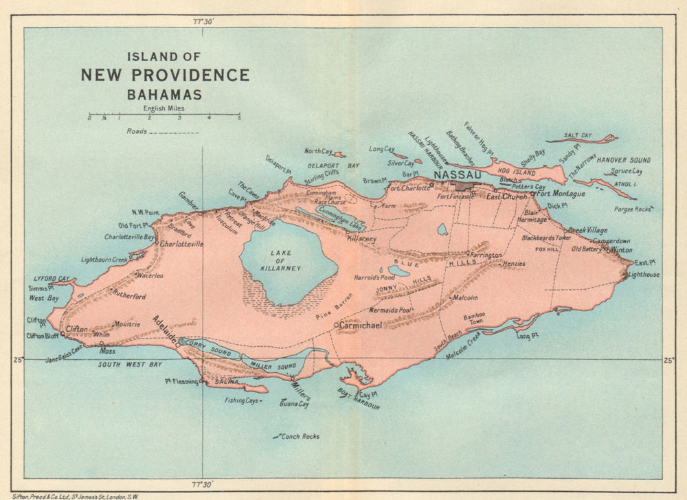 NEW PROVIDENCE. Vintage map. Bahamas. Caribbean 1931 old vintage chart