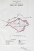Isle of Wight Parliamentary County. BOUNDARY COMMISSION. Close 1917 old map