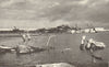 Axis shipping at Benghazi sunk by Allied bombing. 7 December 1942 WW2 Libya 1954