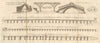 Bridges. Croyland Westminster Putney Burton Bideford Ponte Realto, Venice 1751