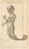 The Syren drawn from the life. Siren. Greece. Classics 1759 old antique print