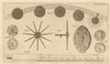 Distance measuring wheel. Transit of Venus 1769. Norton. Edward V coin 1770