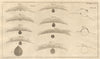 1769 transit of Venus. 9 views of the planet crossing the solar disc 1770