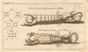Shell fish crayfish lobster. Causes of attraction & repulsion. Crustaceans 1770