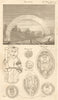 White rainbow seen Leicestershire. Warminster pilgrim. St. Thomas Rome 1791
