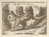 Lyons of Africa. African Lions. BASIRE 1745 old antique vintage print picture